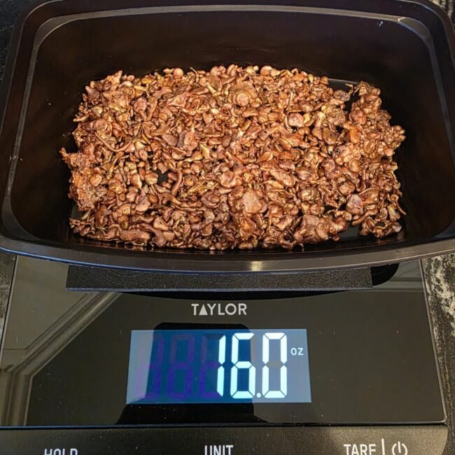 .999 Copper Shot 16oz  Each
